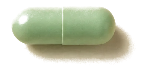 Gut Restore capsule